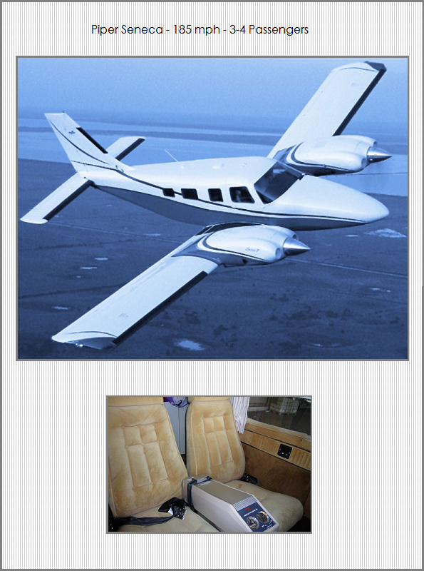 Piper Seneca